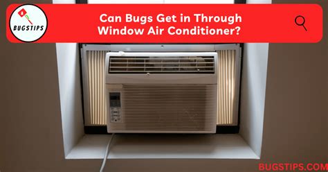 Can Bugs Come in Through Window Air Conditioner? And Why Do They Love the Cold Air So Much?