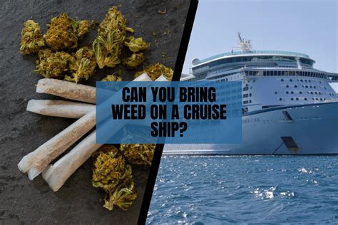 Can You Smoke Weed on a Cruise Ship? And What Happens If You Bring a Unicorn Instead?