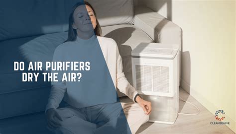 Does Air Purifier Make Air Dry? And Why Do Cats Love to Sit on Them?