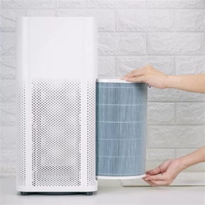 How Often Do You Replace Air Purifier Filter: A Dive into the Whimsical World of Air Quality