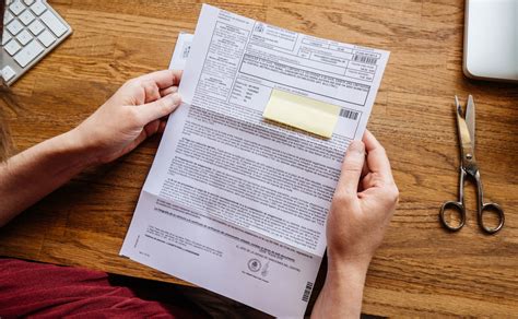 What Happens When You File a Police Report for Missing Package: And Why Do Cats Always Sit on Important Documents?