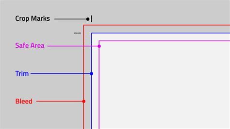 What is the Bleed Area in Printing? And Why Does It Feel Like a Secret Society?